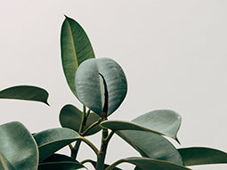 Scandinavisch & urban