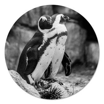 Muurcirkel - Penguins Zwart Wit PB