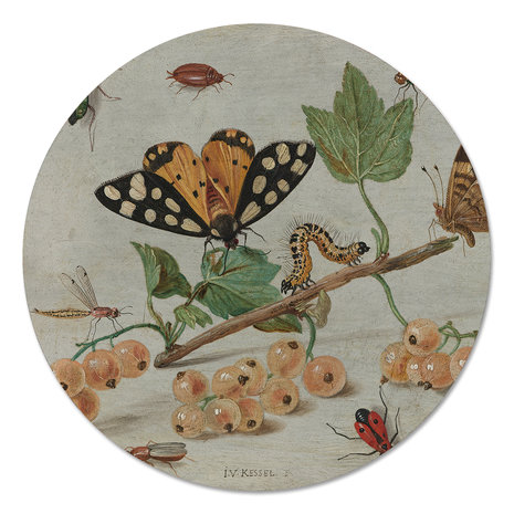 Muurcirkel Insecten en Vruchten - Jan van Kesse