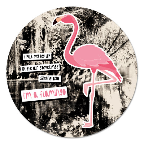 Muurcirkel - Flamingo