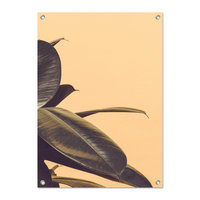 Tuinposter Rubberplant geel