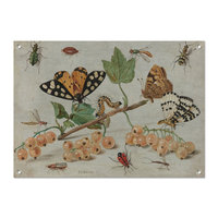 Tuinposter Insecten en Vruchten - Jan van Kesse