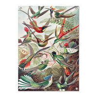 Tuinposter Vogels