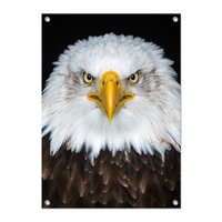 Tuinposter Arend - PB