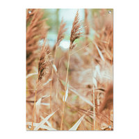 Tuinposter Riet - PB