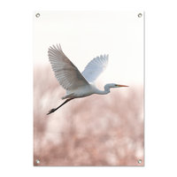 Tuinposter Zilverreiger - PB