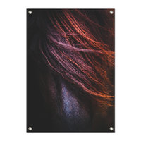 Tuinposter Manen van Paard - PB