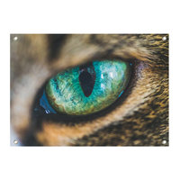 Tuinposter Kattenoog - PB