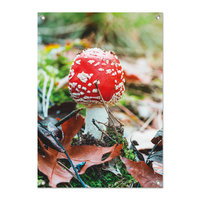 Tuinposter Paddenstoel rood met witte stippen - PB