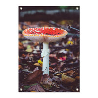 Tuinposter Paddenstoel plat rood met witte stippen - PB
