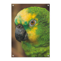 Tuinposter Groene parkiet - PB