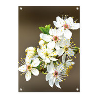 Tuinposter Tros Bloesem - PB