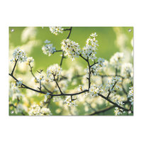 Tuinposter Bloesem op takken - PB