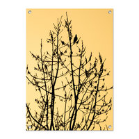 Tuinposter Duif in een boom - PB