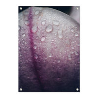 Tuinposter Magnoliablad - PB