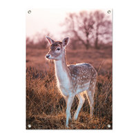 Tuinposter Hert op de heide - PB