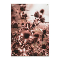 Tuinposter Distels - PB