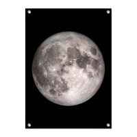Tuinposter Maan