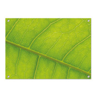 Tuinposter groen blad - PB