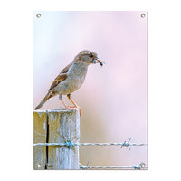 Tuinposter Mus met insect - PB