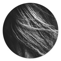 Muurcirkel - Paarden manen Zwart Wit PB