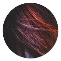 Muurcirkel - Paarden manen PB