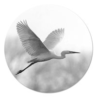 Muurcirkel - Zilverreiger Zwart Wit PB