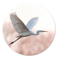 Muurcirkel - Zilverreiger PB