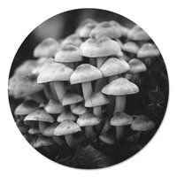 Muurcirkel - Paddenstoelen Zwart Wit PB