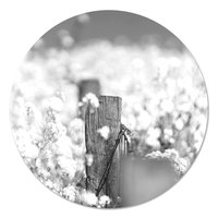 Muurcirkel - Bloemenveld met houten paal Zwart Wit PB