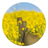 Muurcirkel - Bloemenveld met houten paal PB