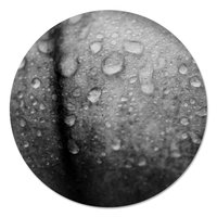 Muurcirkel - Magnoliablad met waterdruppels Zwart Wit PB