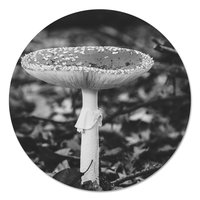 Muurcirkel - Paddenstoel Plat Zwart Wit PB