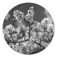 Muurcirkel - Bloesem Zwart Wit PB