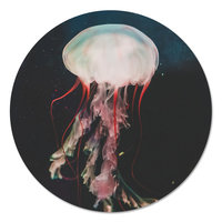 Muurcirkel - Kwal PB