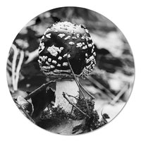 Muurcirkel - Paddenstoel klein Zwart Wit PB
