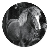 Muurcirkel - Wild Paard Zwart Wit PB