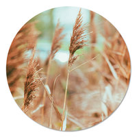 Muurcirkel - Riet PB