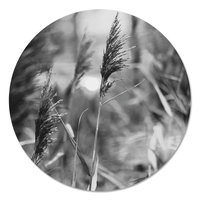 Muurcirkel - Riet Zwart Wit PB