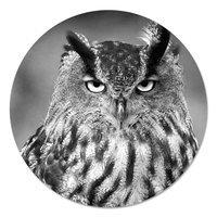 Muurcirkel - Uil Zwart WitPB