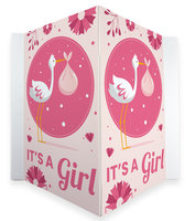 Geboortebord - Meisje Ooievaar