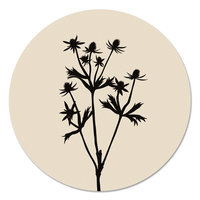 Muurcirkel - Distel room